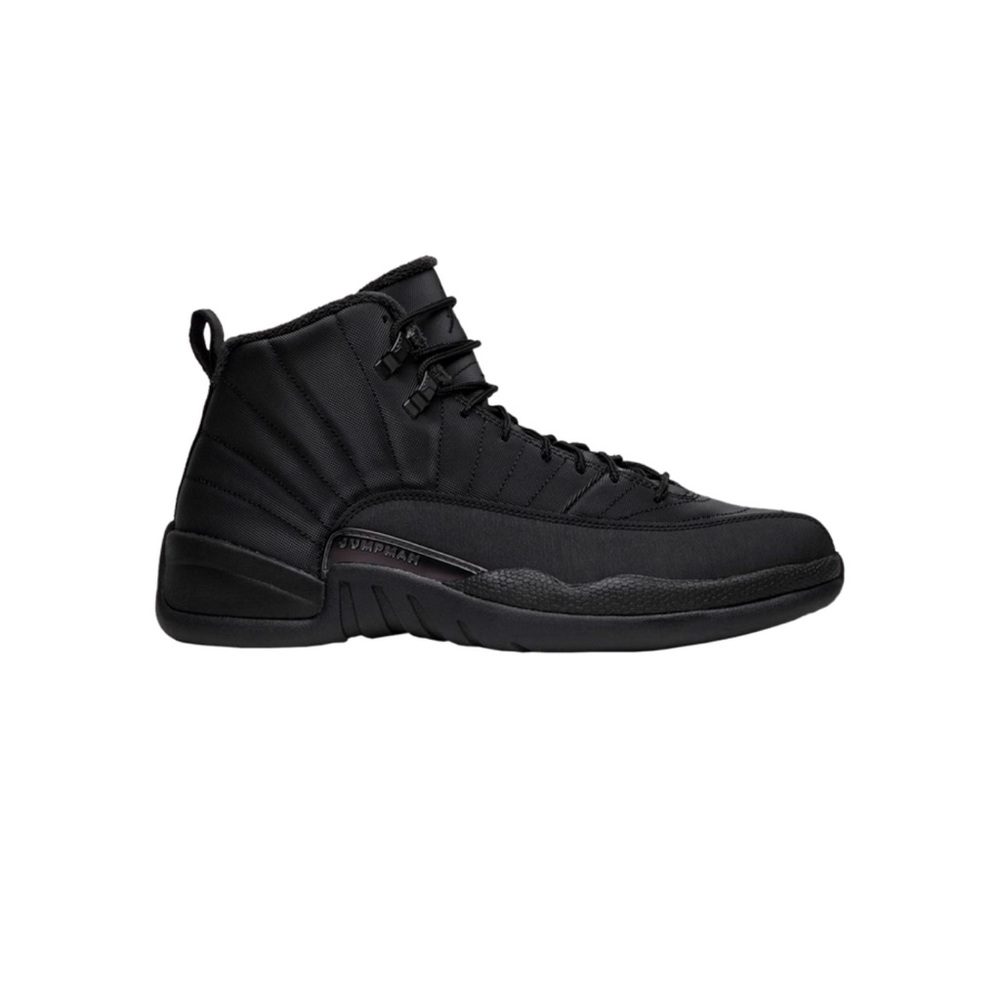 Jordon 12 retro winter black